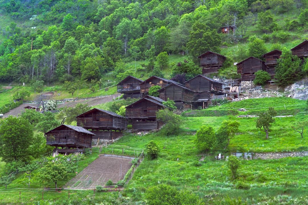 Eco beach village - Carlos De Ory